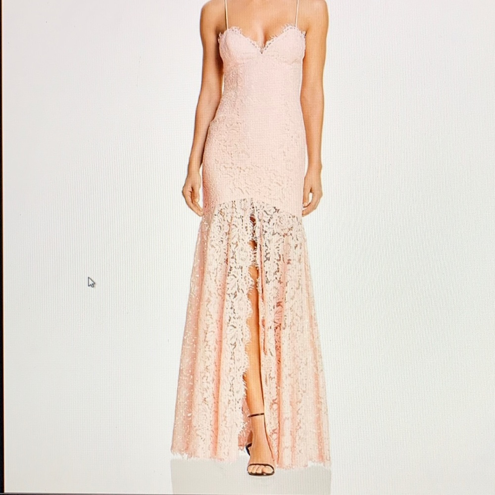 NWT Fame And Partners  Pink Lace Mermaid gown - 10